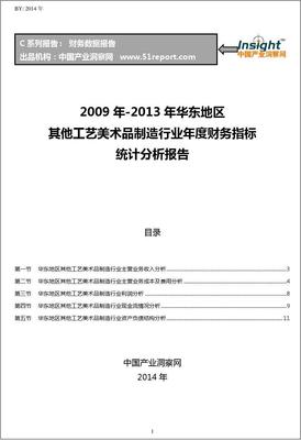 2009-2013年华东地区其他工艺美术品制造行业财务指标分析年报